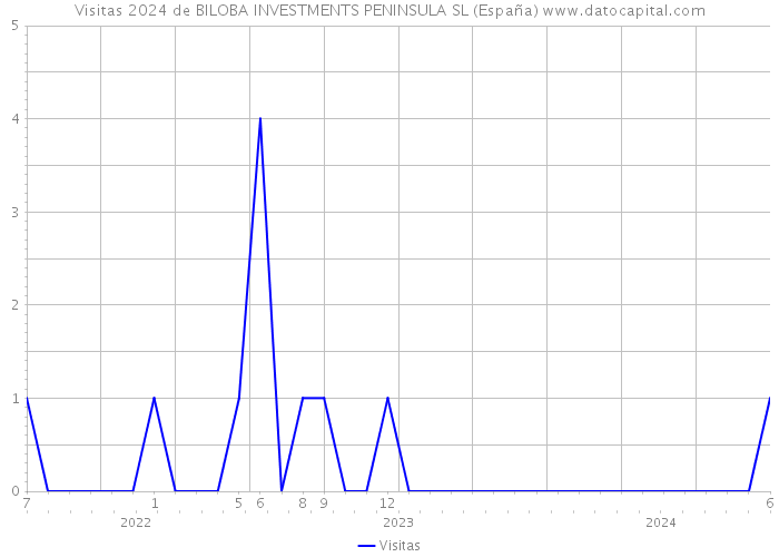 Visitas 2024 de BILOBA INVESTMENTS PENINSULA SL (España) 