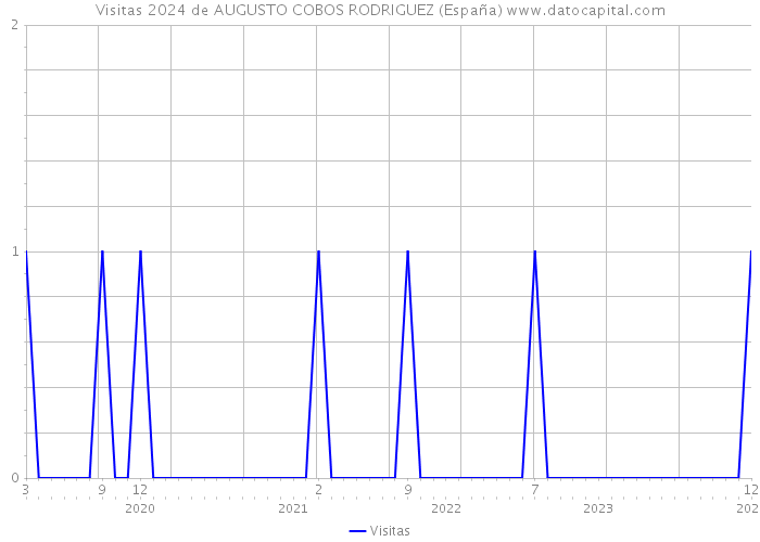 Visitas 2024 de AUGUSTO COBOS RODRIGUEZ (España) 