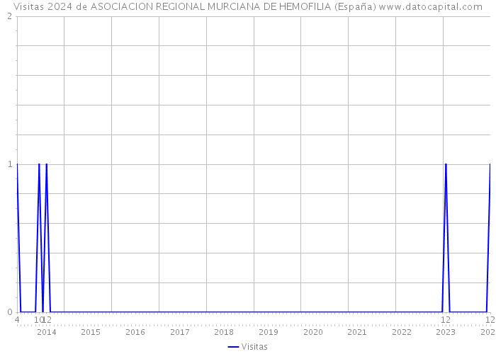 Visitas 2024 de ASOCIACION REGIONAL MURCIANA DE HEMOFILIA (España) 
