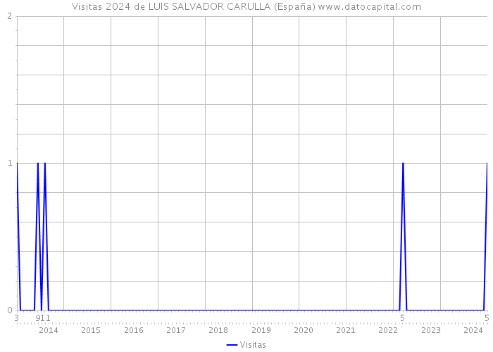 Visitas 2024 de LUIS SALVADOR CARULLA (España) 