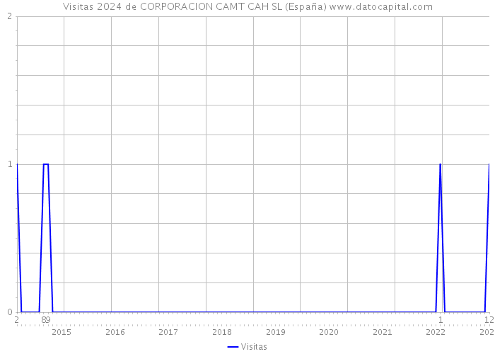Visitas 2024 de CORPORACION CAMT CAH SL (España) 
