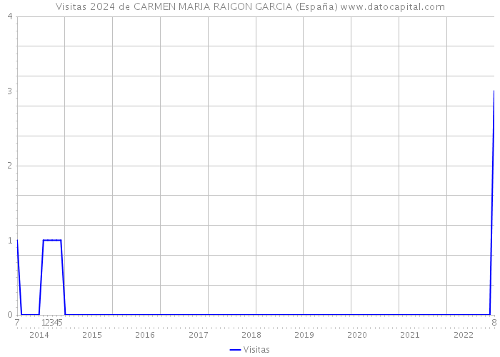 Visitas 2024 de CARMEN MARIA RAIGON GARCIA (España) 