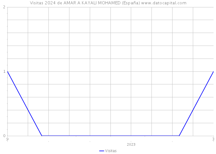 Visitas 2024 de AMAR A KAYALI MOHAMED (España) 