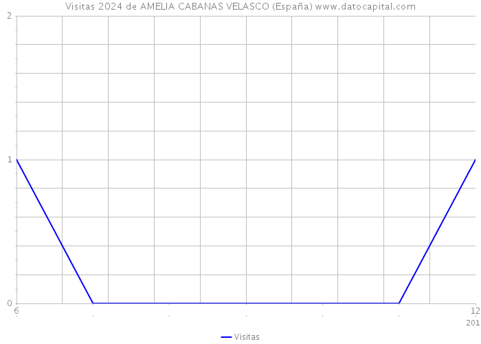 Visitas 2024 de AMELIA CABANAS VELASCO (España) 