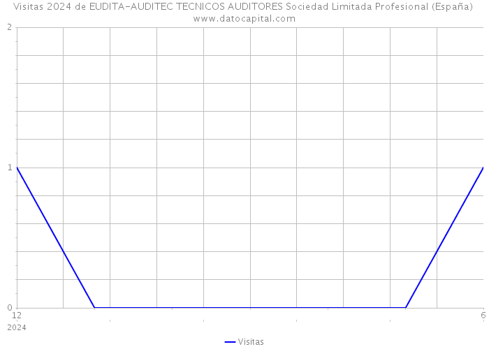 Visitas 2024 de EUDITA-AUDITEC TECNICOS AUDITORES Sociedad Limitada Profesional (España) 