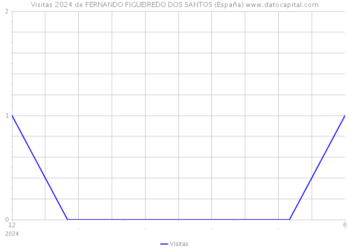 Visitas 2024 de FERNANDO FIGUEIREDO DOS SANTOS (España) 