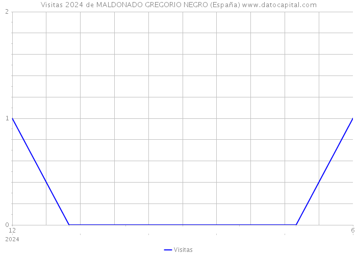 Visitas 2024 de MALDONADO GREGORIO NEGRO (España) 