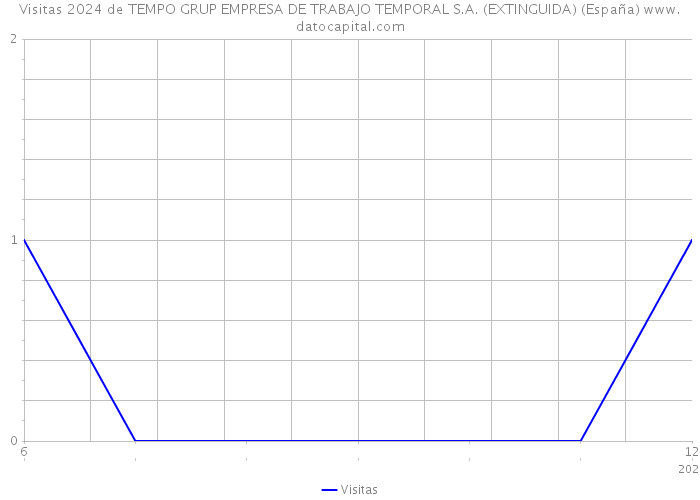 Visitas 2024 de TEMPO GRUP EMPRESA DE TRABAJO TEMPORAL S.A. (EXTINGUIDA) (España) 