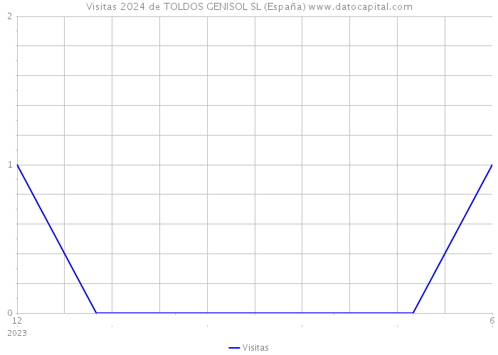 Visitas 2024 de TOLDOS GENISOL SL (España) 