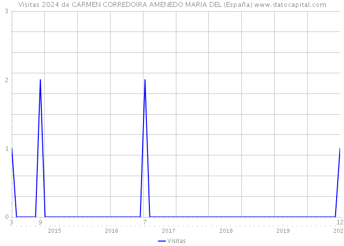 Visitas 2024 de CARMEN CORREDOIRA AMENEDO MARIA DEL (España) 