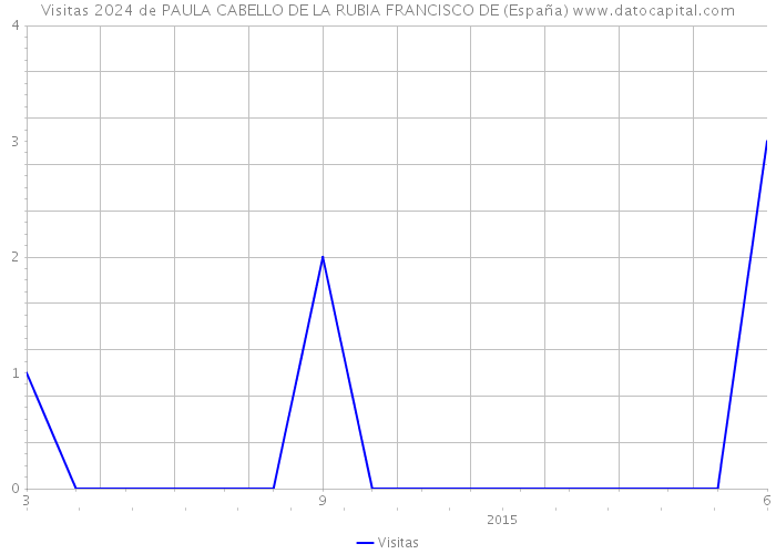 Visitas 2024 de PAULA CABELLO DE LA RUBIA FRANCISCO DE (España) 