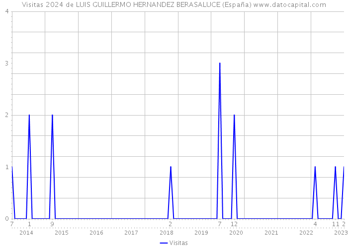 Visitas 2024 de LUIS GUILLERMO HERNANDEZ BERASALUCE (España) 