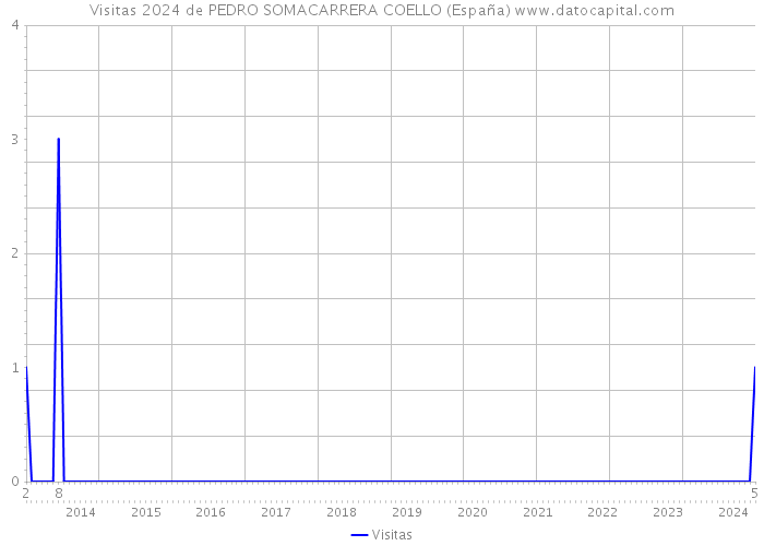 Visitas 2024 de PEDRO SOMACARRERA COELLO (España) 