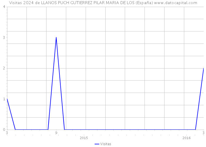 Visitas 2024 de LLANOS PUCH GUTIERREZ PILAR MARIA DE LOS (España) 