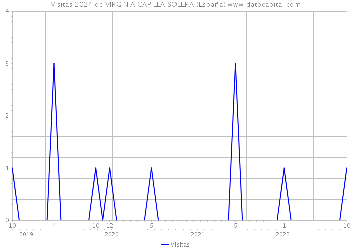 Visitas 2024 de VIRGINIA CAPILLA SOLERA (España) 
