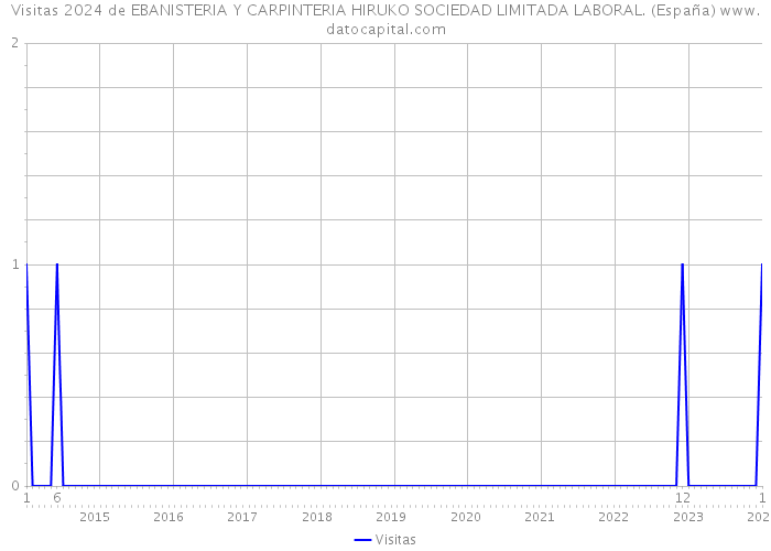 Visitas 2024 de EBANISTERIA Y CARPINTERIA HIRUKO SOCIEDAD LIMITADA LABORAL. (España) 