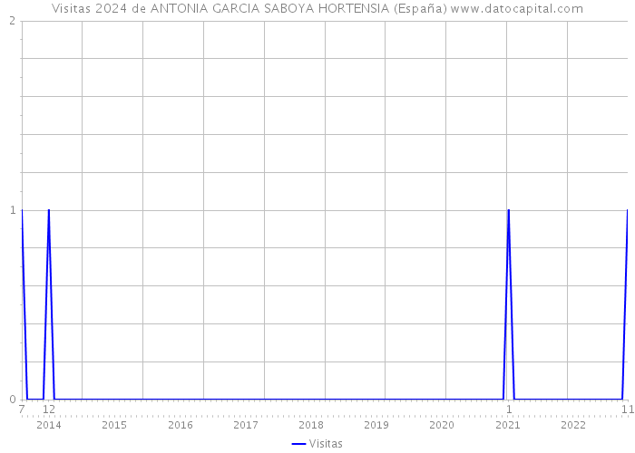 Visitas 2024 de ANTONIA GARCIA SABOYA HORTENSIA (España) 