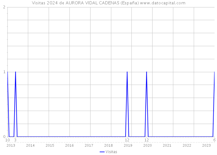 Visitas 2024 de AURORA VIDAL CADENAS (España) 