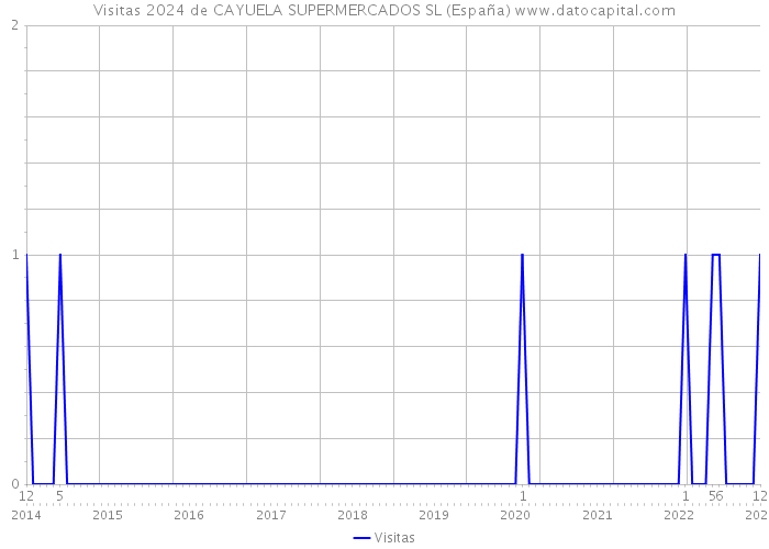 Visitas 2024 de CAYUELA SUPERMERCADOS SL (España) 