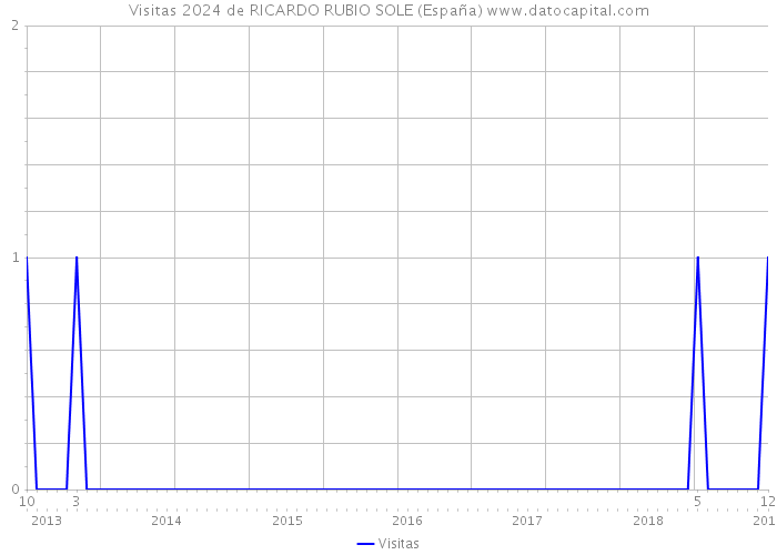 Visitas 2024 de RICARDO RUBIO SOLE (España) 