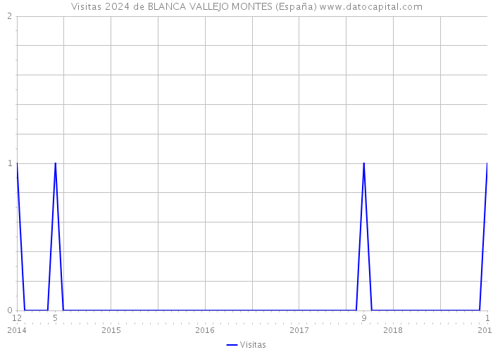 Visitas 2024 de BLANCA VALLEJO MONTES (España) 