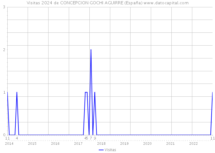 Visitas 2024 de CONCEPCION GOCHI AGUIRRE (España) 