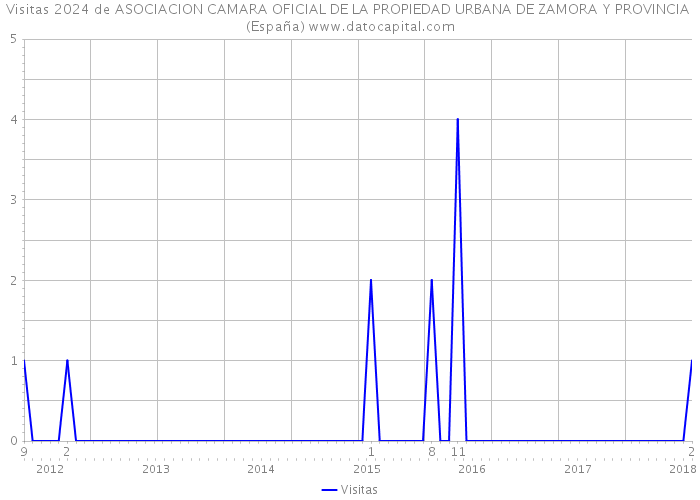 Visitas 2024 de ASOCIACION CAMARA OFICIAL DE LA PROPIEDAD URBANA DE ZAMORA Y PROVINCIA (España) 