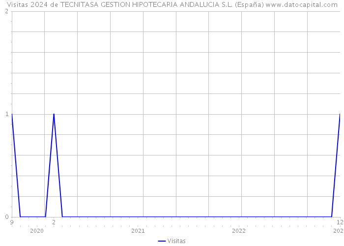 Visitas 2024 de TECNITASA GESTION HIPOTECARIA ANDALUCIA S.L. (España) 