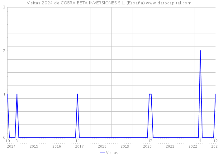 Visitas 2024 de COBRA BETA INVERSIONES S.L. (España) 