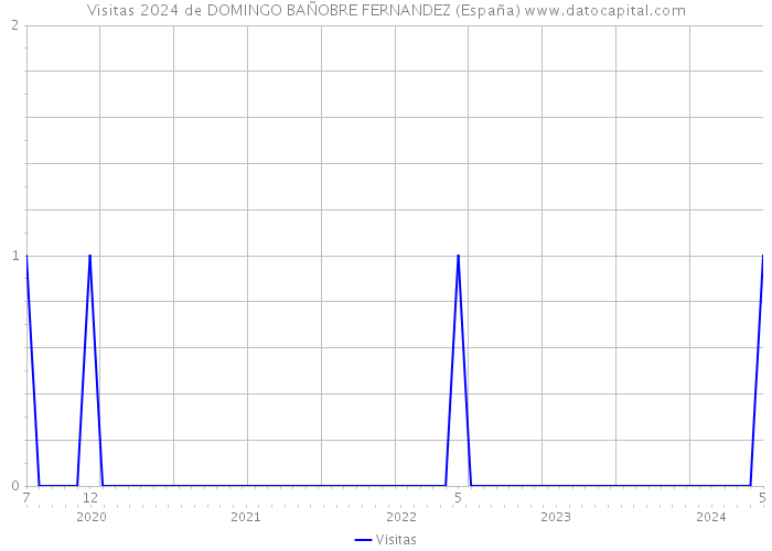 Visitas 2024 de DOMINGO BAÑOBRE FERNANDEZ (España) 