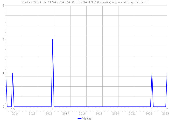 Visitas 2024 de CESAR CALZADO FERNANDEZ (España) 