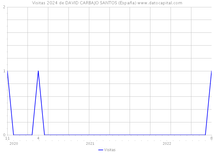 Visitas 2024 de DAVID CARBAJO SANTOS (España) 