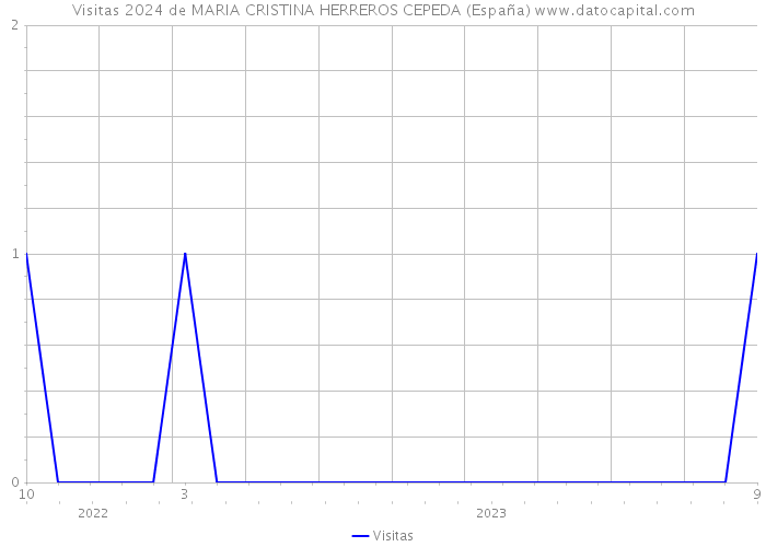 Visitas 2024 de MARIA CRISTINA HERREROS CEPEDA (España) 