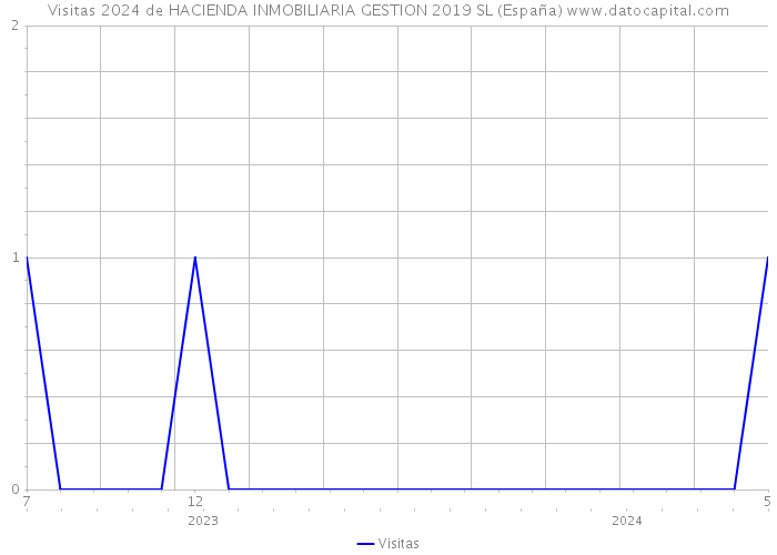 Visitas 2024 de HACIENDA INMOBILIARIA GESTION 2019 SL (España) 