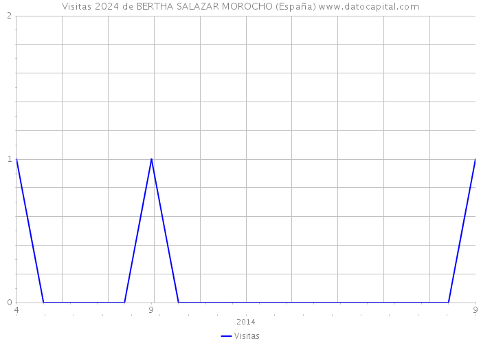 Visitas 2024 de BERTHA SALAZAR MOROCHO (España) 