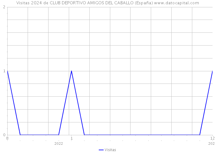 Visitas 2024 de CLUB DEPORTIVO AMIGOS DEL CABALLO (España) 