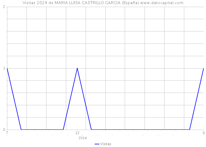 Visitas 2024 de MARIA LUISA CASTRILLO GARCIA (España) 