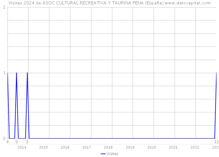 Visitas 2024 de ASOC CULTURAL RECREATIVA Y TAURINA PENA (España) 