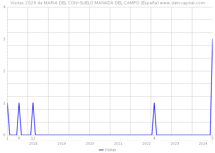 Visitas 2024 de MARIA DEL CON-SUELO MANADA DEL CAMPO (España) 