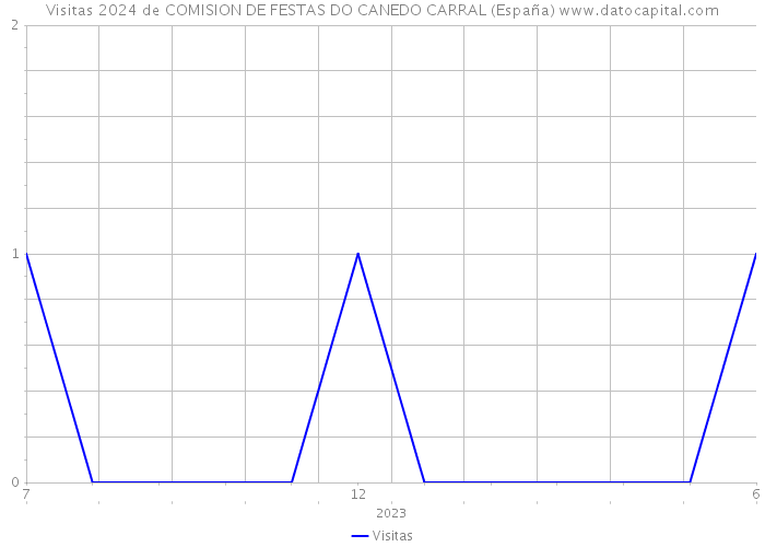 Visitas 2024 de COMISION DE FESTAS DO CANEDO CARRAL (España) 