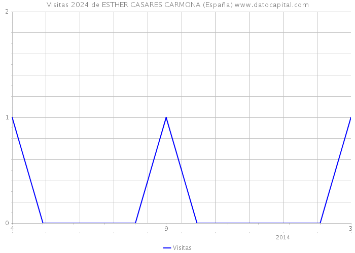 Visitas 2024 de ESTHER CASARES CARMONA (España) 