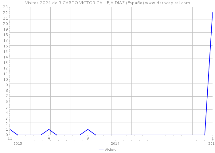 Visitas 2024 de RICARDO VICTOR CALLEJA DIAZ (España) 