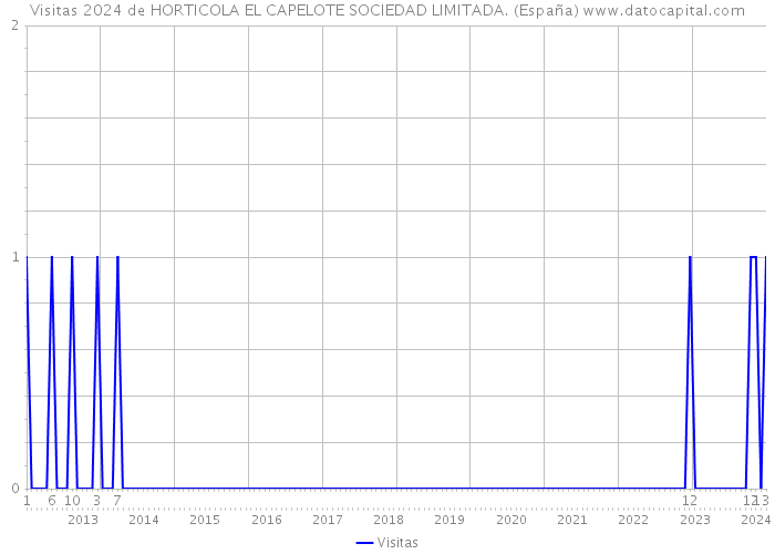 Visitas 2024 de HORTICOLA EL CAPELOTE SOCIEDAD LIMITADA. (España) 