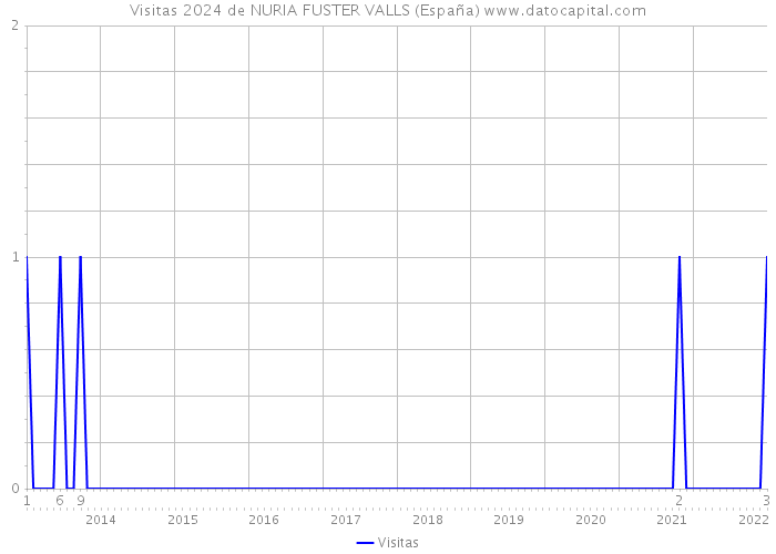 Visitas 2024 de NURIA FUSTER VALLS (España) 