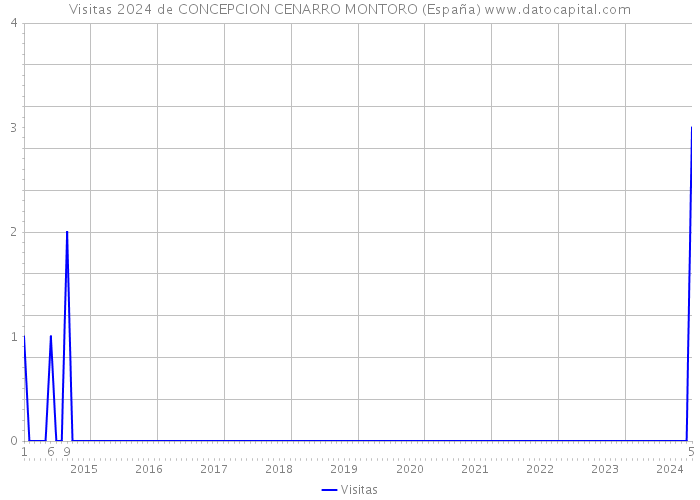 Visitas 2024 de CONCEPCION CENARRO MONTORO (España) 