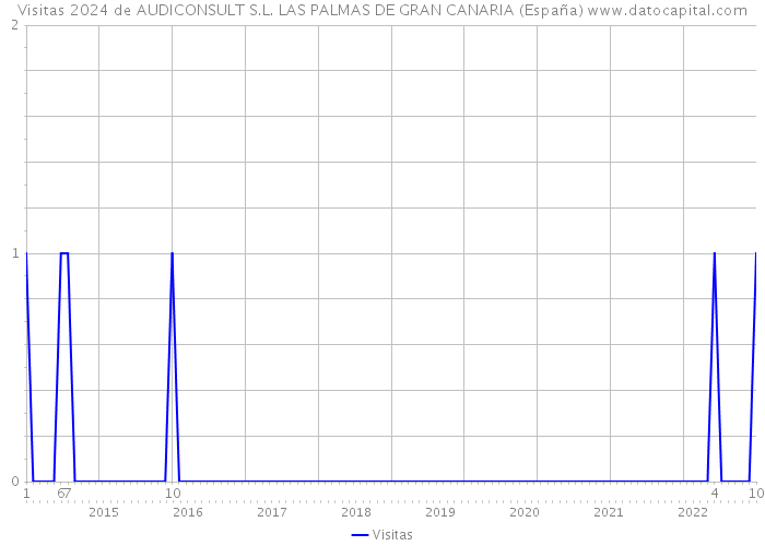 Visitas 2024 de AUDICONSULT S.L. LAS PALMAS DE GRAN CANARIA (España) 