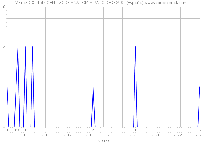Visitas 2024 de CENTRO DE ANATOMIA PATOLOGICA SL (España) 