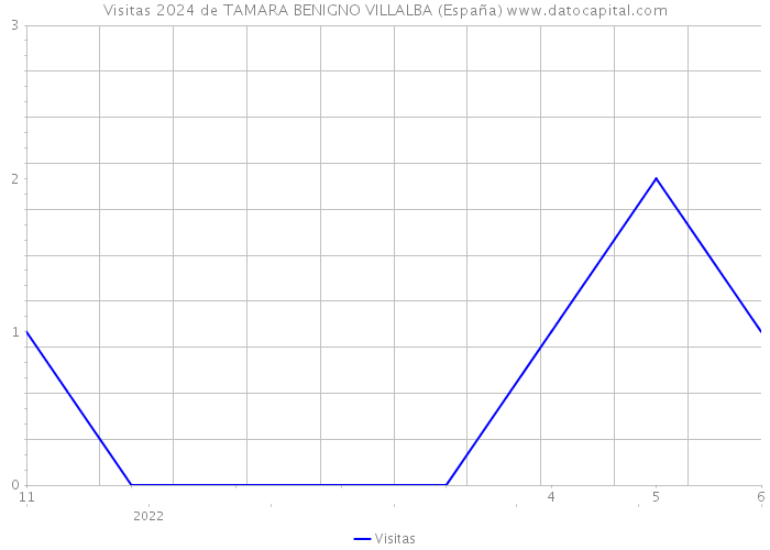 Visitas 2024 de TAMARA BENIGNO VILLALBA (España) 