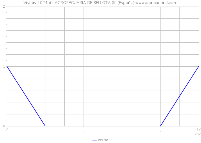 Visitas 2024 de AGROPECUARIA DE BELLOTA SL (España) 