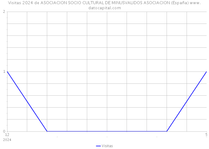 Visitas 2024 de ASOCIACION SOCIO CULTURAL DE MINUSVALIDOS ASOCIACION (España) 